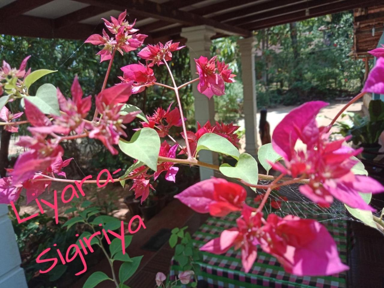 Liyara Home Stay Sigirîya Extérieur photo