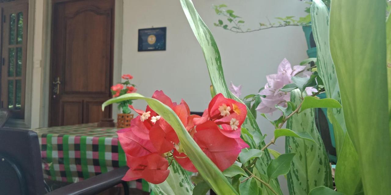 Liyara Home Stay Sigirîya Extérieur photo